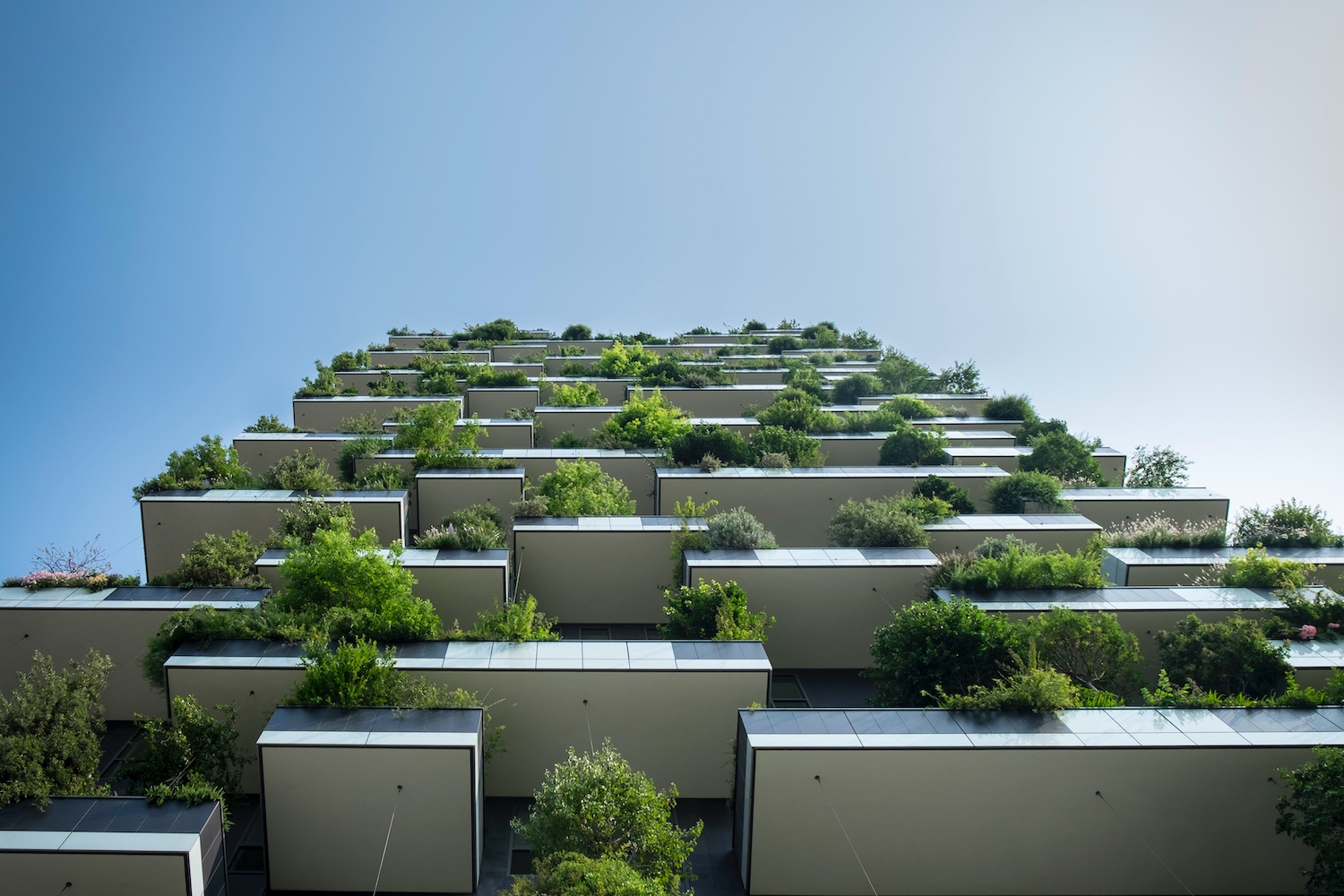 Sustainability in architecture with Vaishnavi Rajasekaran