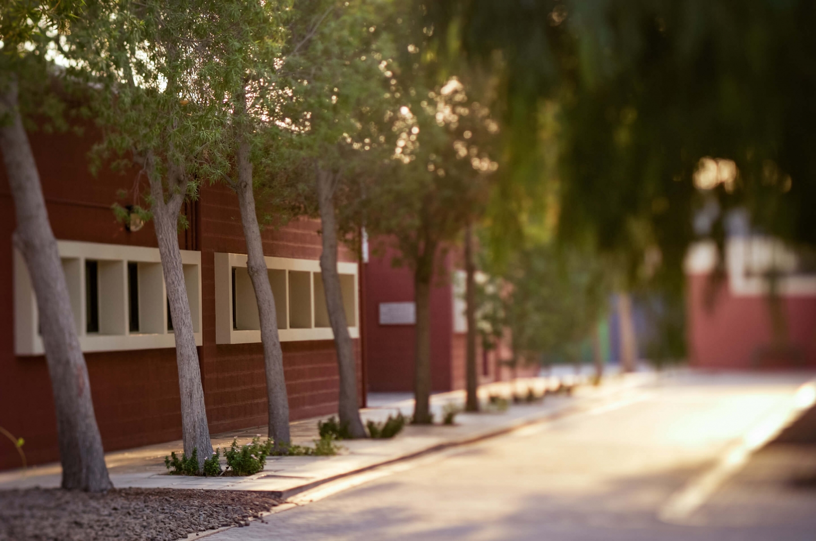 Dubai College Design Architect