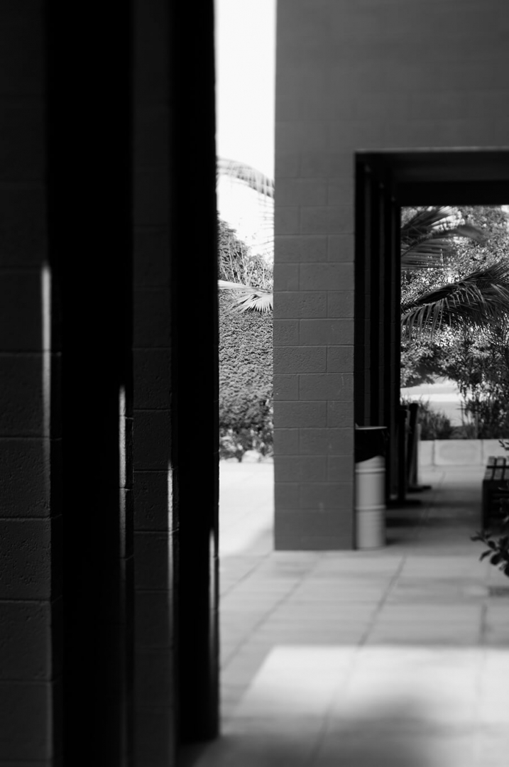 Dubai College Design Architect