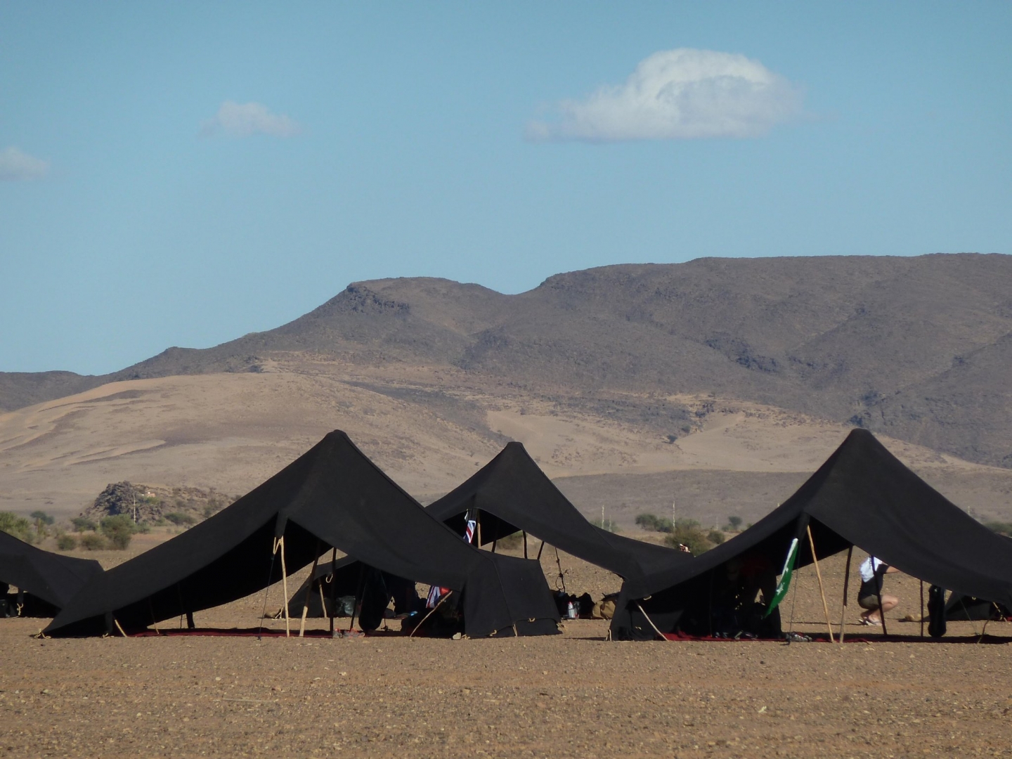 MDS-Tents-1.jpg